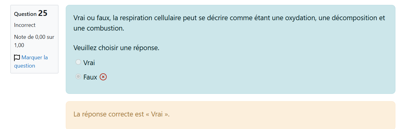 Capture d’écran 2025-12-09 200907.png