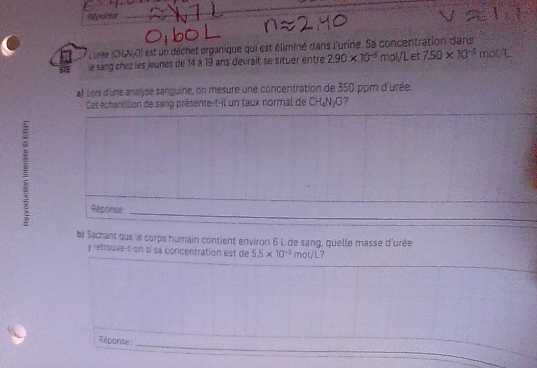 img-20260405-150635.jpg