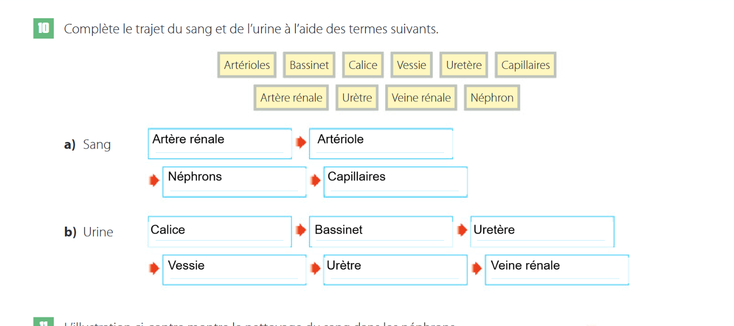 Capture d’écran 2025-01-11 170720.png