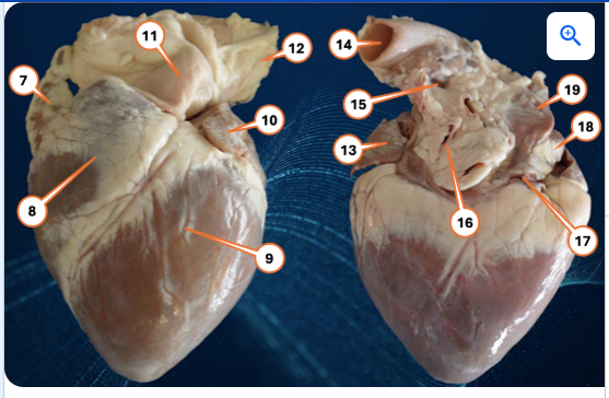 Screenshot 2026-01-09 13.05.36.png