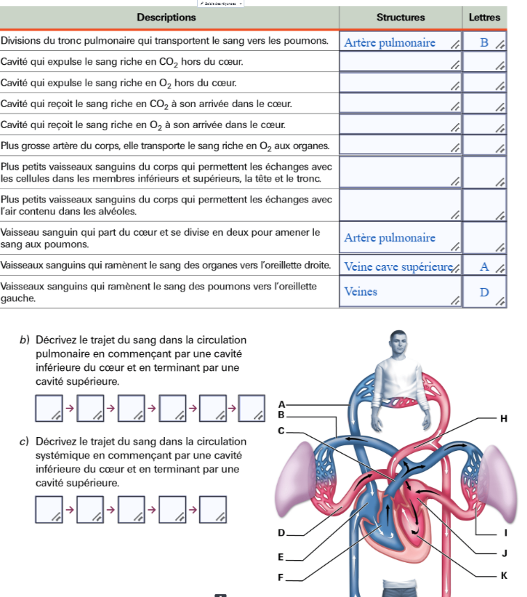 Sciences Alloprof.png