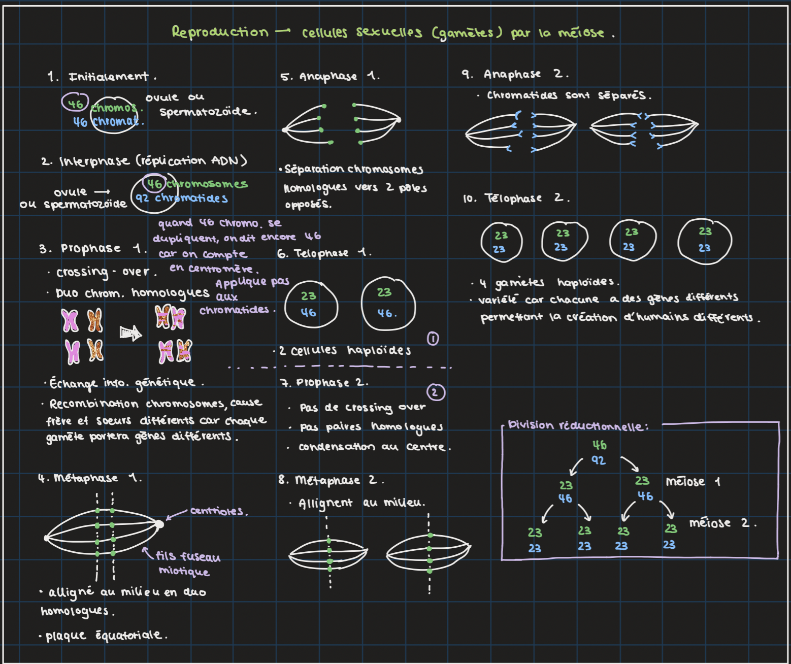 Capture d’écran, le 2024-11-30 à 21.57.29.png