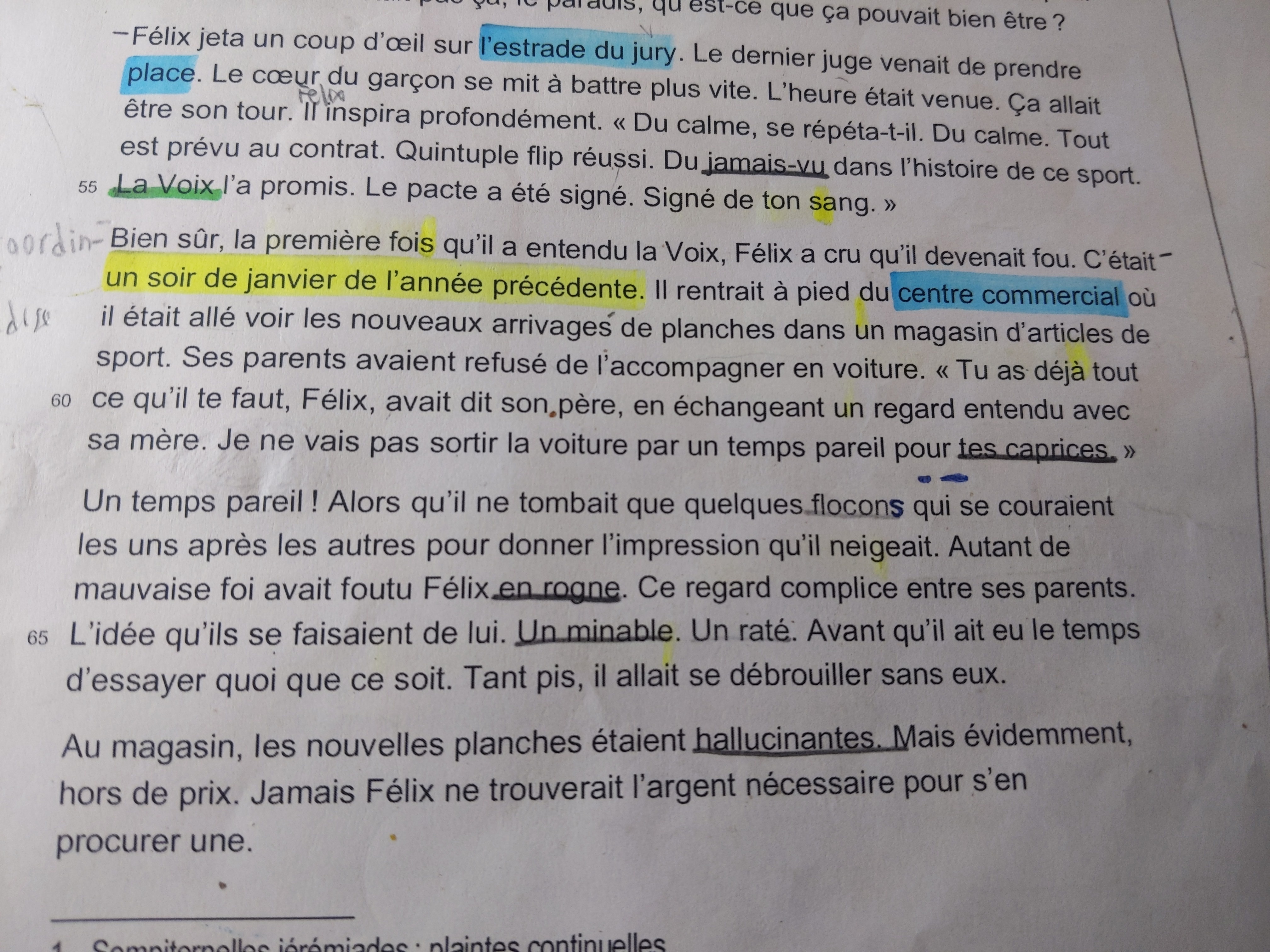 image Hiipocampe La voix.jpg