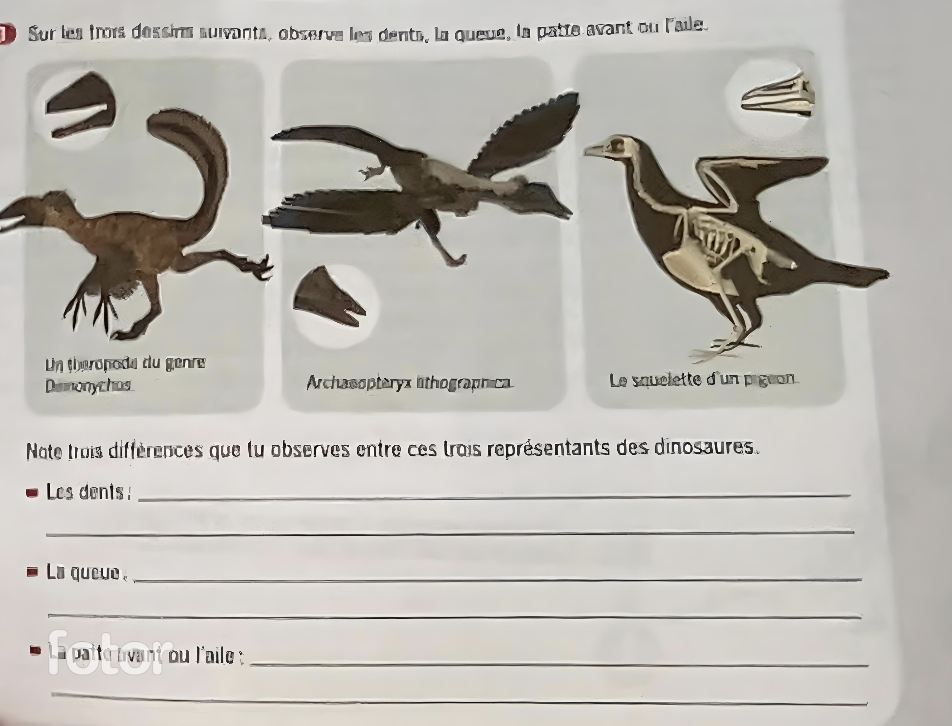 Capture d’écran, le 2025-01-21 à 12.56.23.png