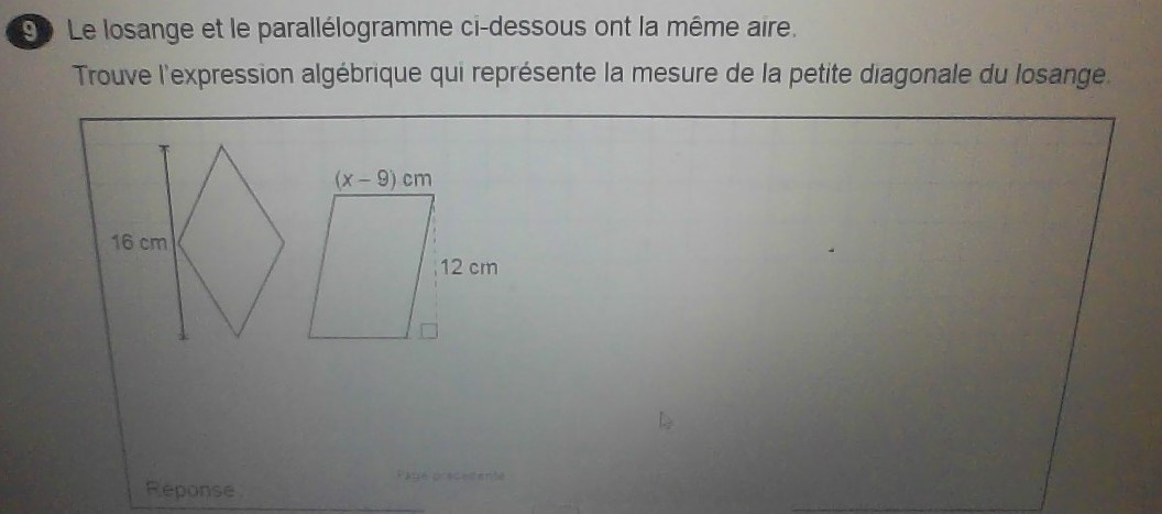 WIN_20220720_11_00_20_Pro (2).jpg