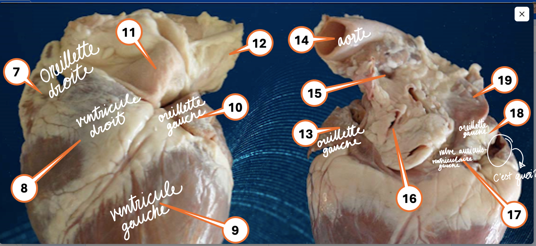 Screenshot 2026-01-09 11.55.59.png